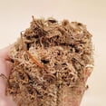 thumbnail image 5 of Tierra para macetas con musgo Sphagnum para plantas carnívoras, orquídeas en macetas, sarracenias, plantas de jarra y más, totalmente natural (2 qt) descuento, 5 of 5
