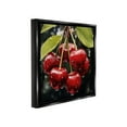 thumbnail image 4 of Stupell Industries Cherries with Water Droplets Food & Beverage Painting Black Floater Framed Canvas Art Print Wall Art, 18 x 18, 4 of 10