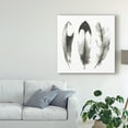 thumbnail image 3 of Trademark Fine Art 'Watercolor Feathers II' Canvas Art by Grace Popp, 3 of 4