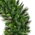 thumbnail image 2 of Vickerman 30" Bangor Mixed Pine Artificial Christmas Wreath, Unlit, 2 of 2