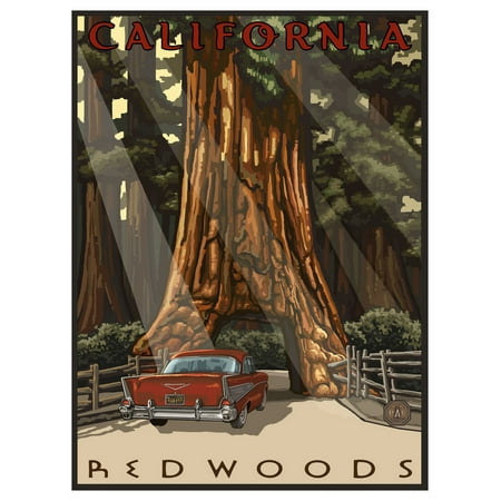 California Redwoods Car Thru Tree Giclee Art Print Poster by Paul A. Lanquist (9