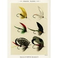 thumbnail image 2 of Marbury, Mary Orvis 12x14 Black Ornate Wood Framed with Double Matting Museum Art Print Titled - Bass Fishing Flies VI from Favorite Flies and Their Histories, 2 of 4