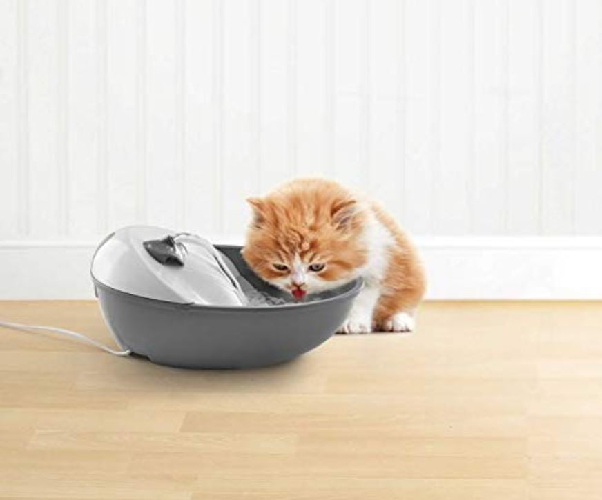 nexgard online cheap