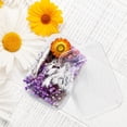 thumbnail image 4 of asddcavvf 1 Box Real Dried Flower Resin Fillings Expoxy Flower For Epoxy Resin Jewelry Making Craft DIY Supplies Accessories (Forget Me Not), 4 of 7
