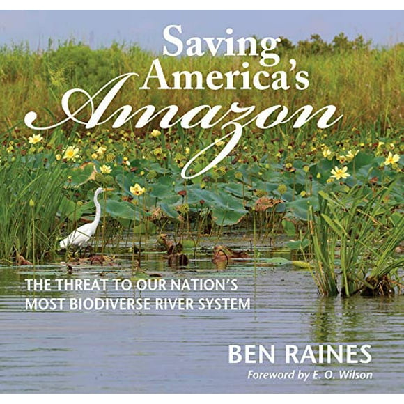 Saving America's Amazon