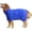 Blue-XX-Large, variant on Dog Drying Coat XXX-Large Grey Fast Absorbent Pet Bathrobe