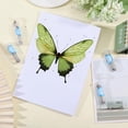 thumbnail image 5 of 400Pcs 4 Sizes Stainless Steel Insect Pins 0.25/0.3/0.35/0.4mm Specimen Entomology Pins and Butterfly Collections Needle, 5 of 7