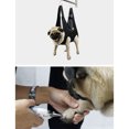 thumbnail image 4 of Multiple Size Pets Grooming Hammock Soft Comfortable Breathable Multipurpose Hair Nails Trimming Bed For Small Medium Dogs Supplies, 4 of 6