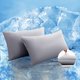 thumbnail image 1 of Fundas de almohada TELUS Cooling, tamaño estándar, 2 unidades, color gris, 50 x 75 cm, 1 of 8