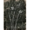 thumbnail image 2 of Grey, Jace 19x24 Black Ornate Wood Framed with Double Matting Museum Art Print Titled - Black Wood, 2 of 4