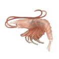 thumbnail image 4 of Modèle d'Animal Marin Solide Simulation Intelligence Jouets d'Apprentissage Animaux Roses Homard de Mer, 4 of 9