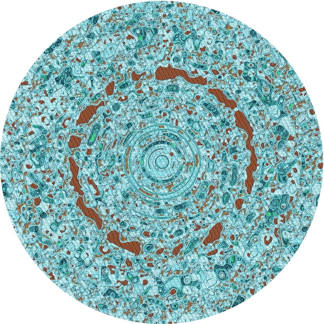 Ahgly Company Tapis d'Intérieur Rond Lavable en Machine Vert Transitionnel, 4 Pieds Rond