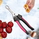 thumbnail image 5 of Descorazonador de espino Ergonómico Portátil Duradero Eficiente Práctico Acero inoxidable Rojo, 5 of 7