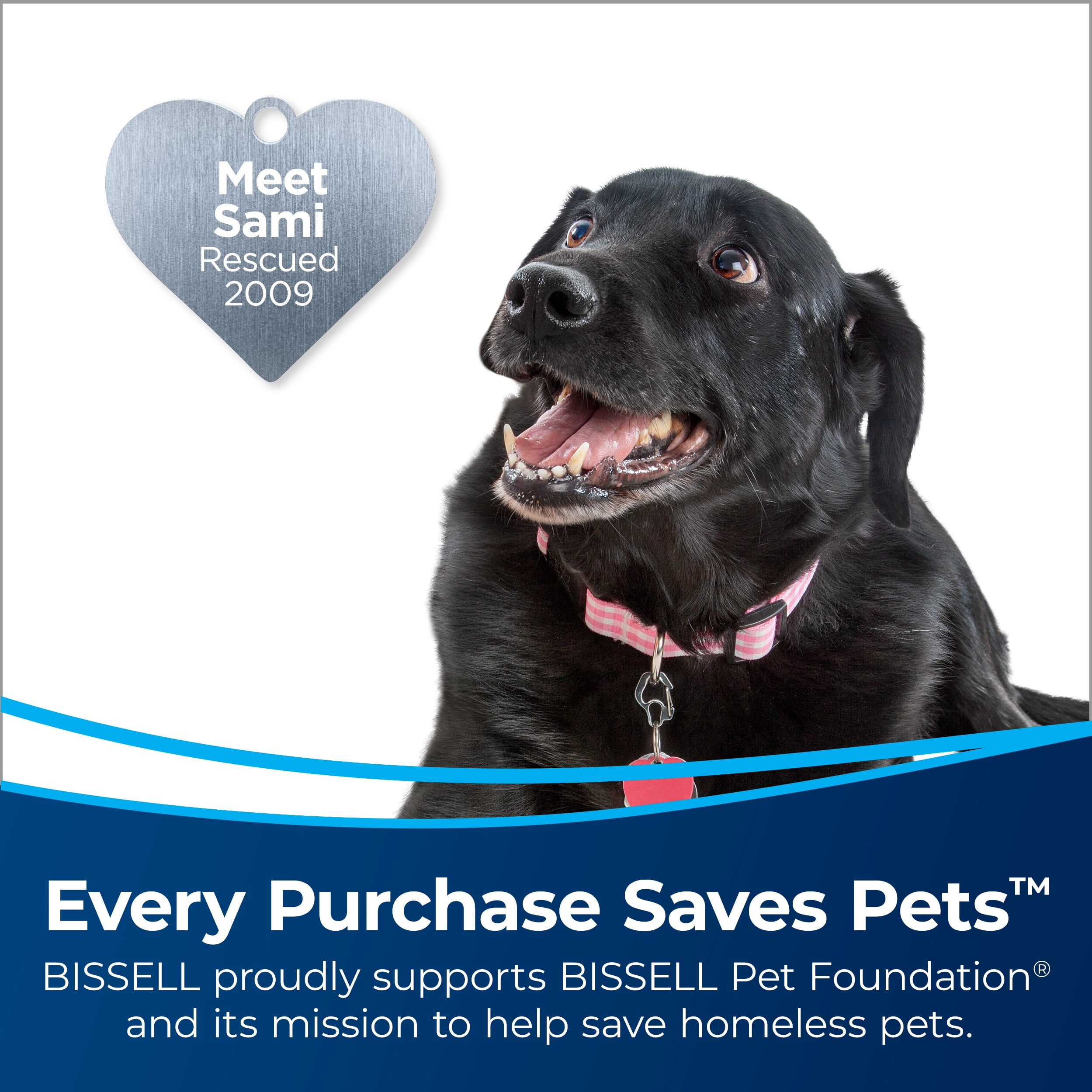 BISSELL PowerLifter Swivel Pet Reach Upright Vacuum 3196