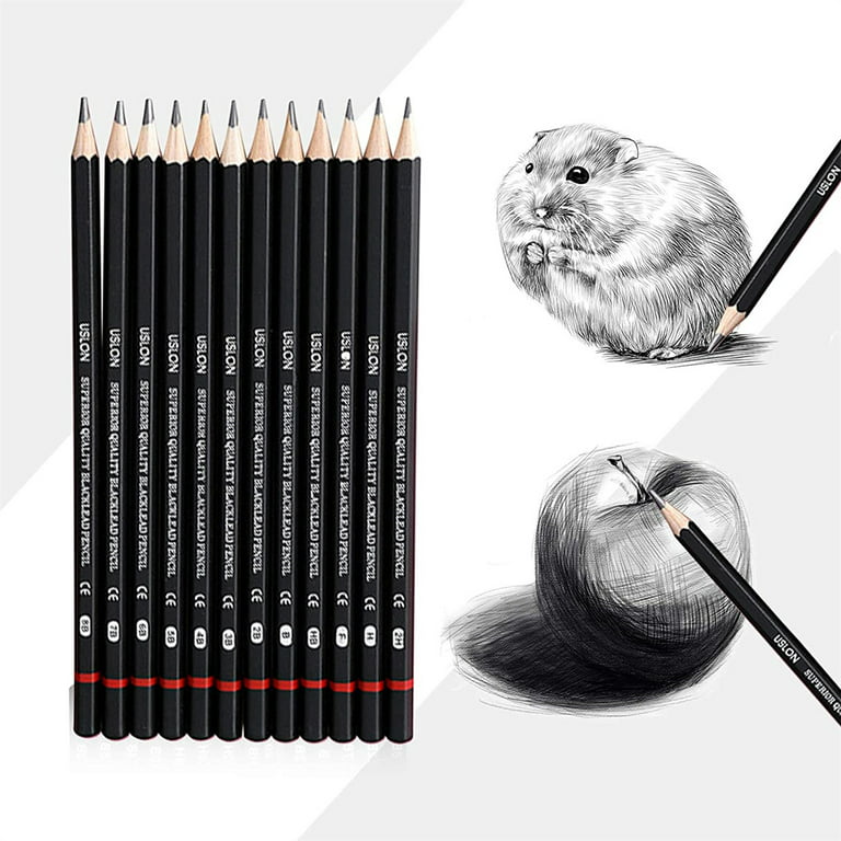Duslogis Professional Drawing Sketch Pencils Set of 12, Medium (8B - 2H),  Ideal for Drawing Art, Sketching, Shading, Artist Pencils for Beginners &  Pro Artists 