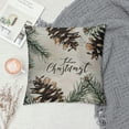 thumbnail image 2 of PHYHOO Hello Winter Vibes Gray Decorative Throw Pillow Covers, Stripes Outdoor Home Decor, Pine Branch Christmas Holiday Farmhouse Cushion Case White, 2 of 5
