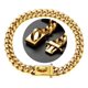 thumbnail image 1 of Collar De Cadena De Perro Dorado, Cadena De Metal Para Camin, 1 of 6