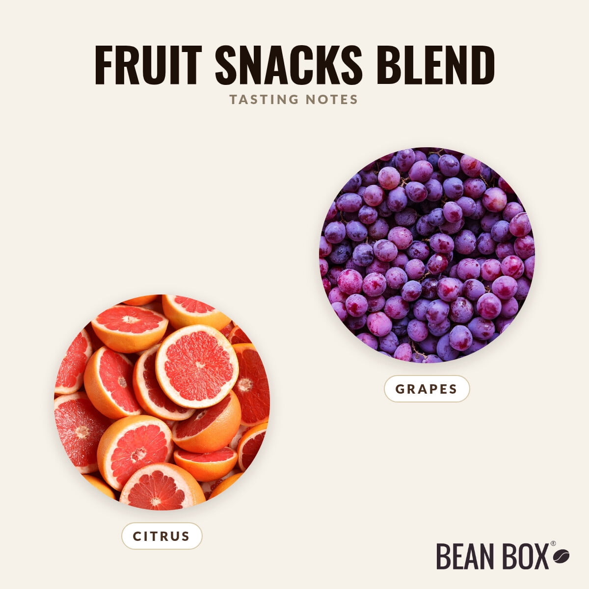 Fruit Snacks Blend - Roasted by Dapper & Wise - Whole Bean Coffee - 2lb Bag