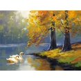 thumbnail image 1 of Dos Cisnes Cerca de la Orilla Pintar por Números (30x40cm Sin Marco), 1 of 3