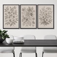 thumbnail image 4 of Framed Canvas Print Wall Art Set of 3 Sketch Floral Botanical Vintage Art for Living Room, Bedroom, Office - 16"x24"x3 BLACK, 4 of 7