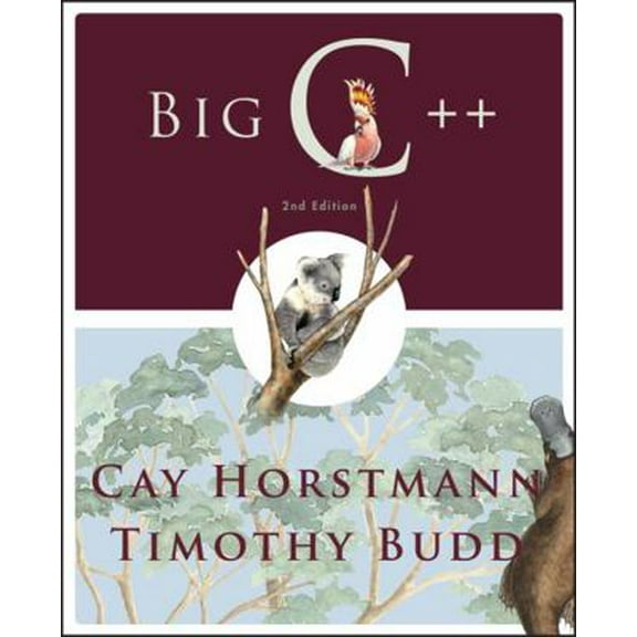Pre-Owned Big C   (Paperback) 0470383283 9780470383285