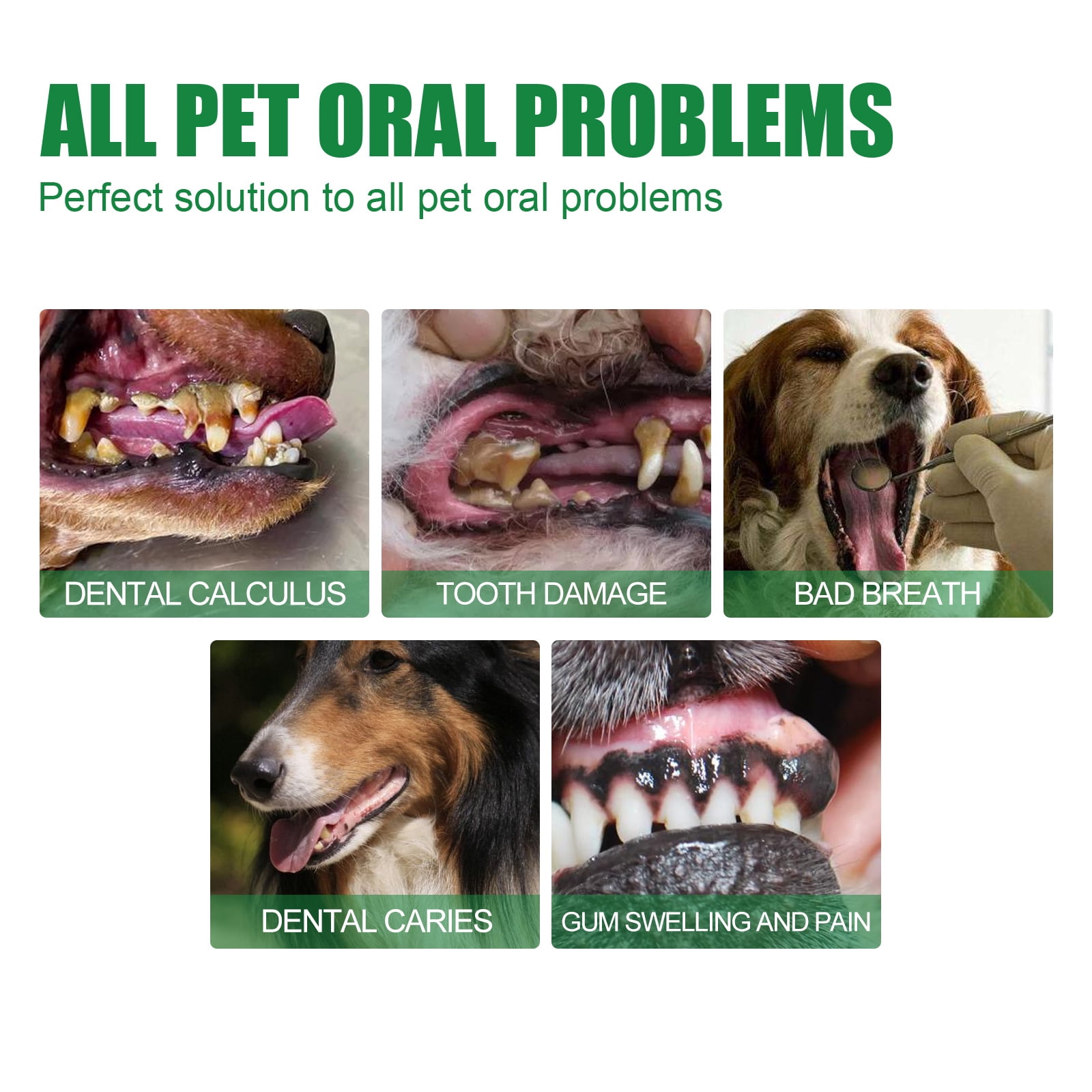 Dog teeth spray for plaque hot sale