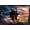 Black Framed Version, variant on America 250 - Eagle & Flag Wall Poster, 22.375" x 34"