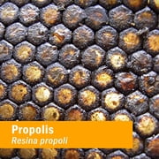 Herb Pharm - Propolis 4 oz