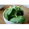 thumbnail image 4 of Viroflay Spinach Seeds/ Annual/ Full Sun/700 Seeds 1/4 oz/ Zellajake Farm and Garden - B322, 4 of 5