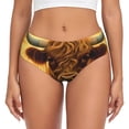 thumbnail image 1 of Fotbe Sunset Sunflower Cow A Calzones Estampados para Mujer – Ropa Interior de Algodón, Cómoda, Suave y Elástica-XX-Large, 1 of 6