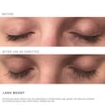 thumbnail image 2 of Sérum para pestañas y cejas Rodan + Fields R+F Lash Boost 5 ml, 2 of 7