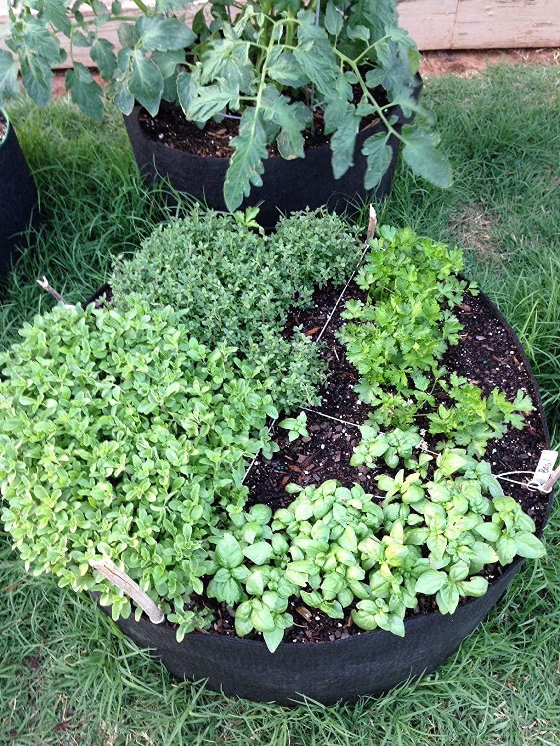Junior Black Smart Pots 12050 Big Bag Bed Fabric Raised Planting Bed Junior Black Smart Pots 12050 Big Bag Bed Fabric Raised Planting Bed