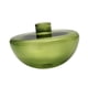 thumbnail image 5 of Florero de vidrio BLESIY hidropónico Contenedor de flores verde, 5 of 8