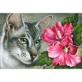 thumbnail image 2 of MGL Licensing MGL601608 Hibiscus Poster Print by Irina Garmaschova-Cawton, 18 x 12, 2 of 4