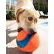 thumbnail image 4 of Pelota de juguete para perros Chuckit Kick Fetch, grande, para padres de mascotas, 4 of 8
