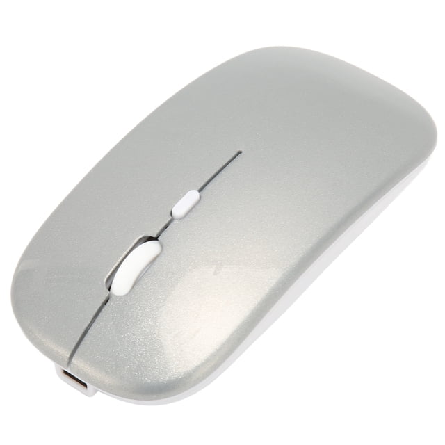 USB Mouse, Computer Mouse with USB Receiver Rechargeable Low Noise Ergonomic Cordless Mice for Work Study Leisure Time