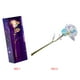 thumbnail image 4 of Sonducket 24K Foil Plated Gold Rose Flowers Box Decoración de boda Día de San Valentín Regalo creativo Golden Rainbow Rose Type4 NO4, 4 of 6