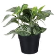 thumbnail image 1 of Plantas en maceta de plástico artificiales para interiores y exteriores, decoración de Fittonia falsa de escritorio, 1 of 5