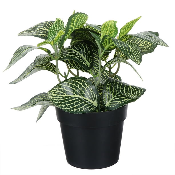 Fittonia artificial de escritorio para decoración de interiores y exteriores, plantas artificiales de plástico en maceta.