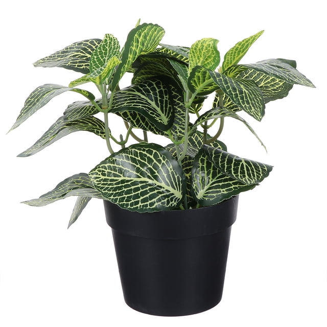 Plantas en maceta de plástico artificiales para interiores y exteriores, decoración de Fittonia falsa de escritorio