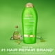 thumbnail image 2 of Acondicionador OGX Extra Strength Refreshing Scalp + Rosemary Mint 750 ml, 2 of 7