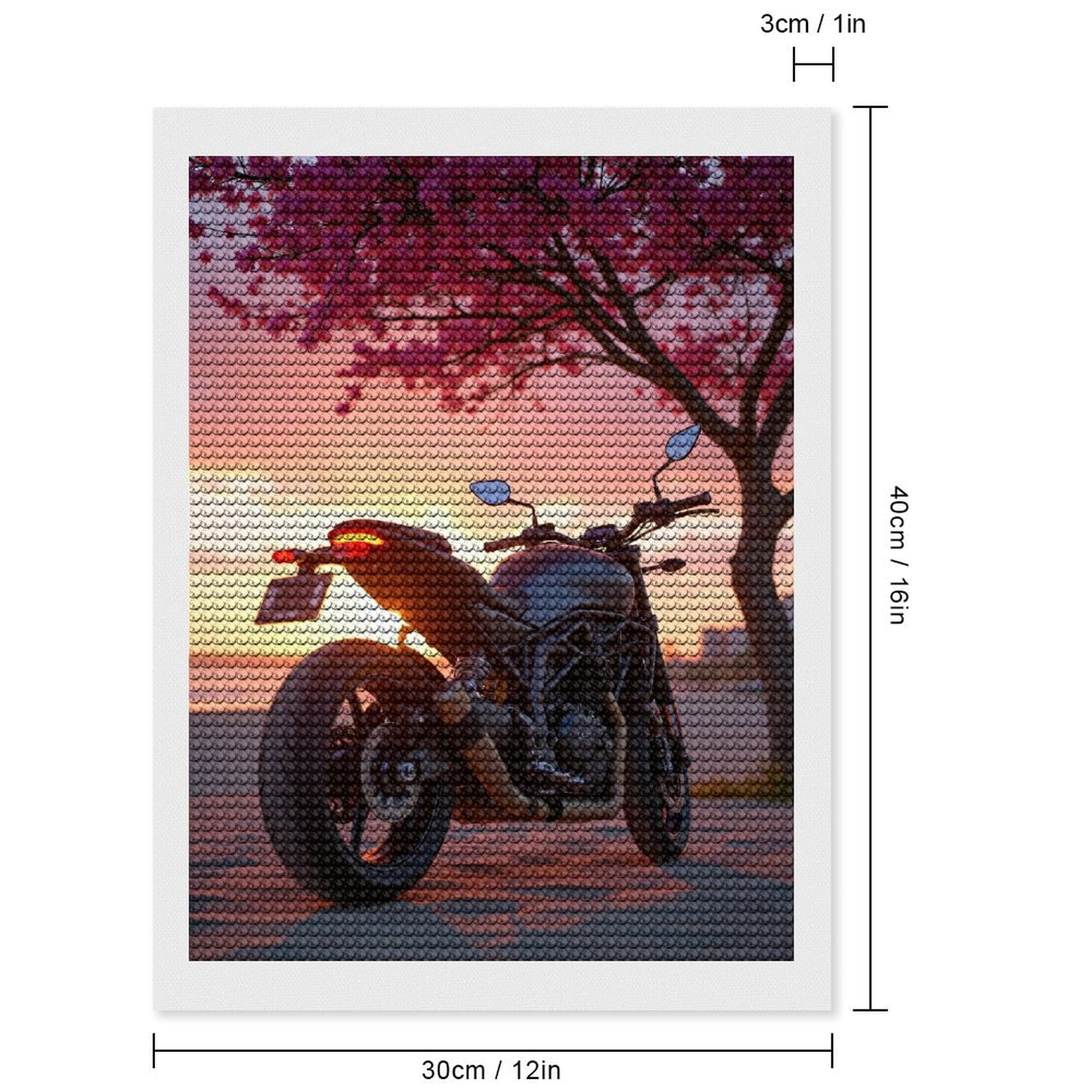 Diamond Art Kits for Adults, Motorcycle Sunset Beach Blossoms 5D Diamond Painting Kits for Adults Beginners, DIY Full Drill Diamond Painting, Gem Art and Crafts 12x16