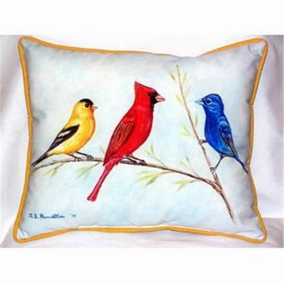 Three Birds Indoor & Outdoor Throw Pillow- 20 x 24 in.