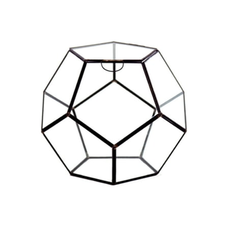 WGV International Dodecahedron Glass Terrarium
