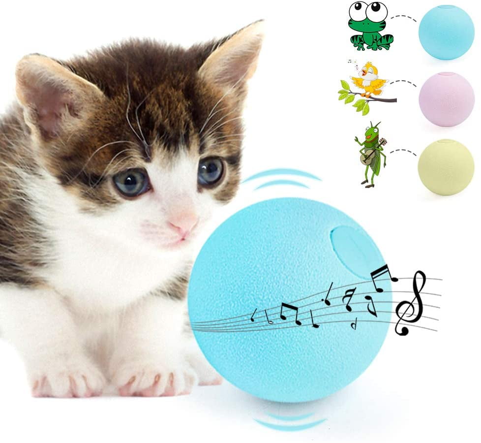 Cat Wand Cat Toy Balls for Indoor Kittens S Shape Tube Tunnel with Catnip Toys Nextpro Interactive Cat Toys & Tunnel 