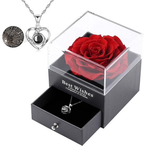 Preserved Red Rose with I Love You Necklace in 100 Languages Gift Set Rose Flower Gifts for Mom Wife Her on Valentines Day Mothers Day Birthday Gifts for Women - Silver