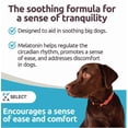thumbnail image 4 of K9 Select Melatonin Tablets for Dogs, Beef Flavor, 90 Count, 4 of 6