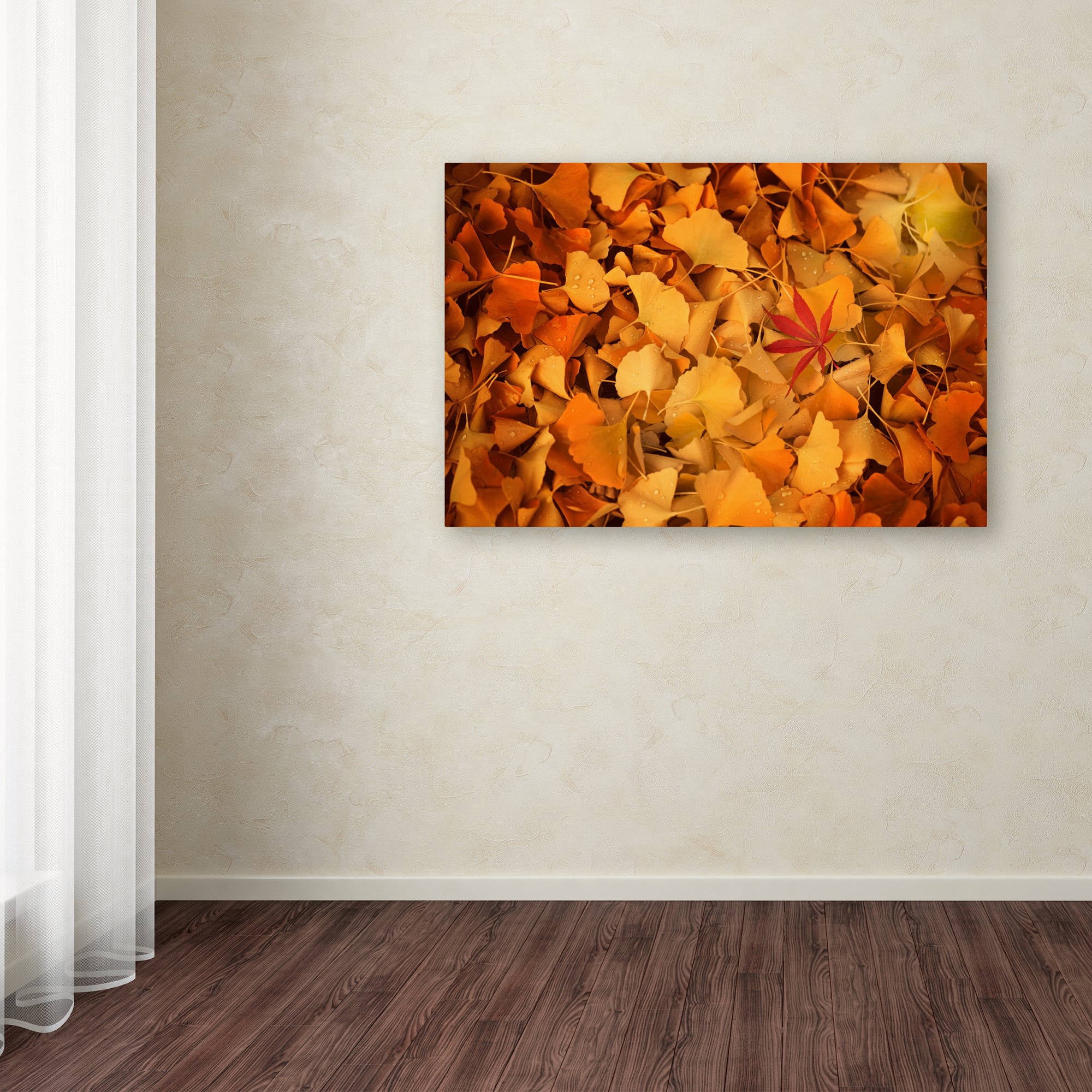 Trademark Fine Art "Variegated" Canvas Art by Philippe Sainte-Laudy