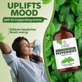 thumbnail image 3 of TRATAK ORGANICS Peppermint Essential Oil 4 fl oz - 100% Pure and Natural Peppermint Oil for Pests, Aromatherapy and Diffusers with Premium Glass Dropper, 3 of 7