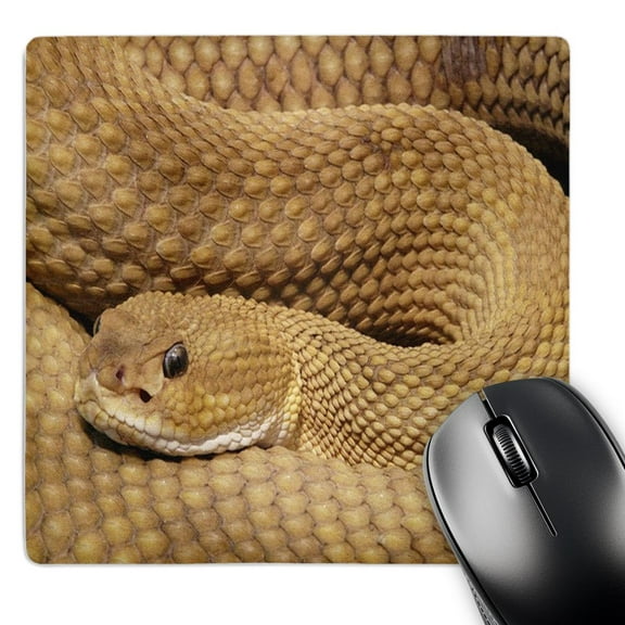 3dRose, Rattlesnake Closeup, MousePad